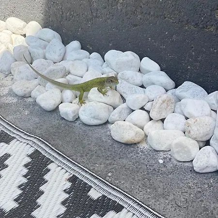 Daire Crystal Spas Apartman-balaton *